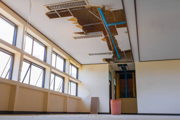 Best Professional water damage repair  in Mosinee, WI