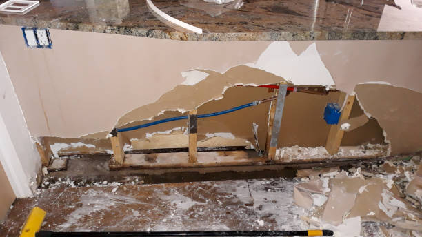 Best Sewage cleanup and water damage restoration  in Mosinee, WI