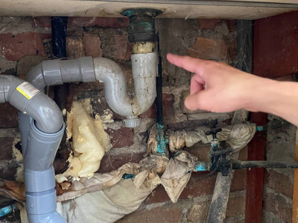 Best Water damage cleanup near me  in Mosinee, WI