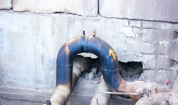 Best Water damage restoration mold remediation  in Mosinee, WI