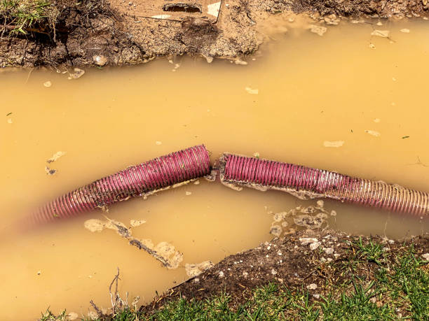 Best Carpet water damage restoration  in Mosinee, WI