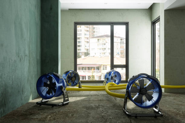 Best Local water damage restoration  in Mosinee, WI